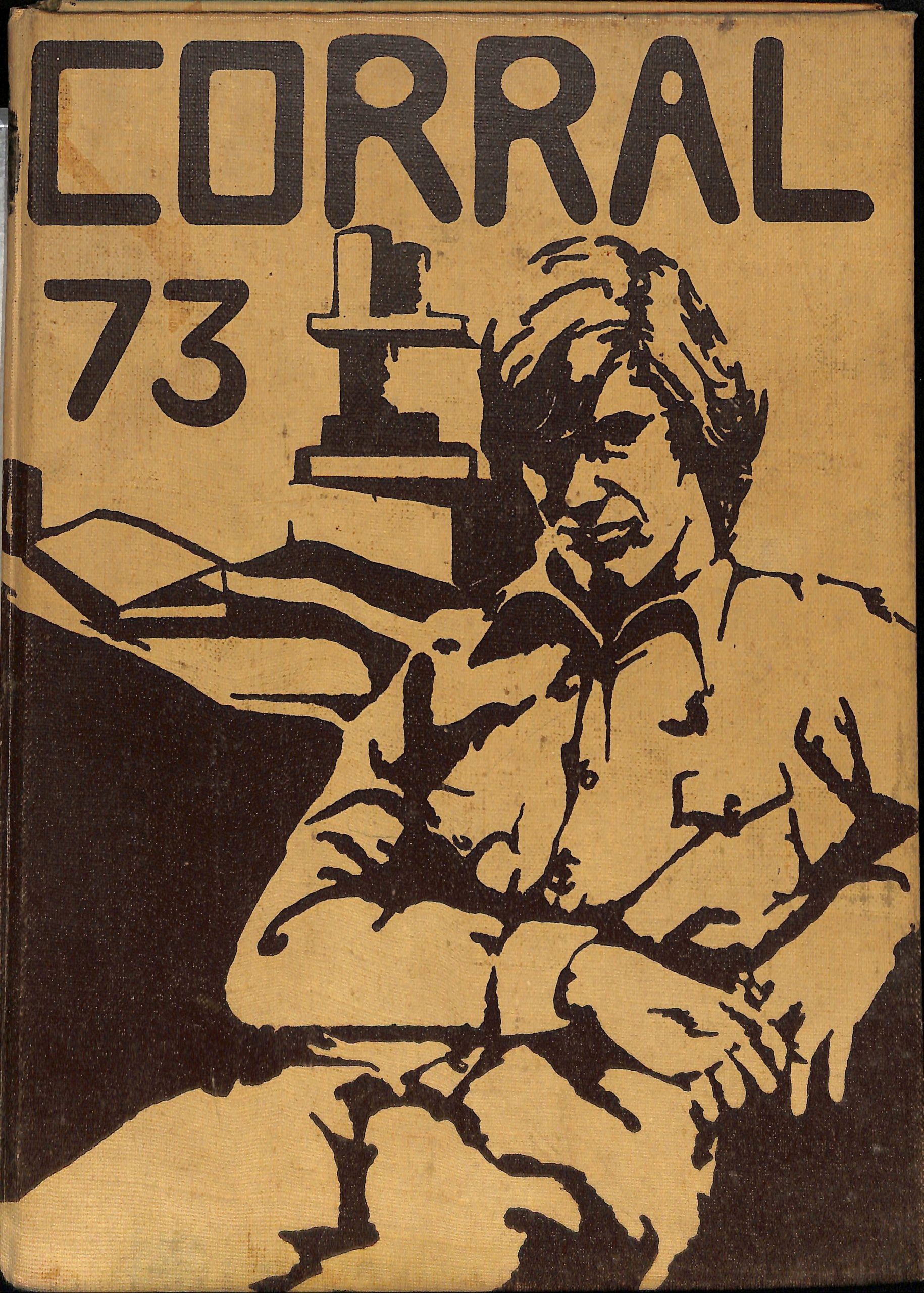 1973 Barrington Yearbook (1)